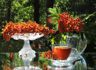 Картинка еда натюрморт август ягоды предметы фото композиция рябина чай
