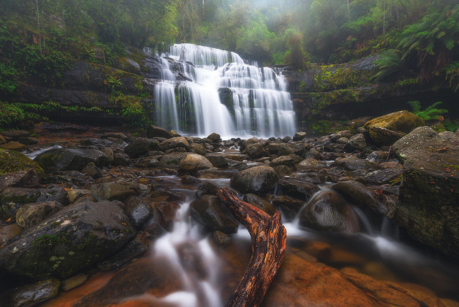 Обои картинки фото природа, водопады, liffey, falls, tasmania, австралия, водопад, река