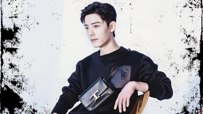 Обои картинки фото мужчины, xiao zhan, актер, свитер, сумка, стул