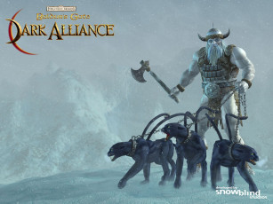 Картинка видео игры baldur`s gate dark alliance