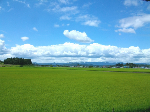 Обои картинки фото природа, поля, поле, дома, облака