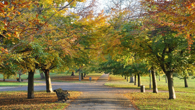 Обои картинки фото park, природа, парк, деревья, аллеи