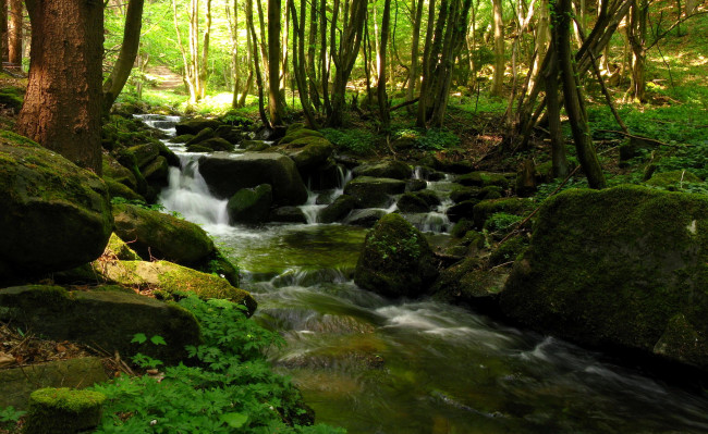 Обои картинки фото steinbachklamm, austria, природа, реки, озера, лес, водопад