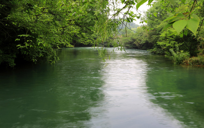 Обои картинки фото природа, реки, озера, деревья, река