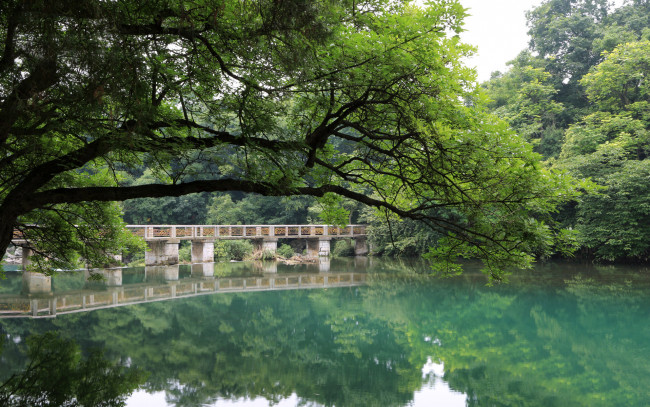 Обои картинки фото природа, реки, озера, река, деревья, мост