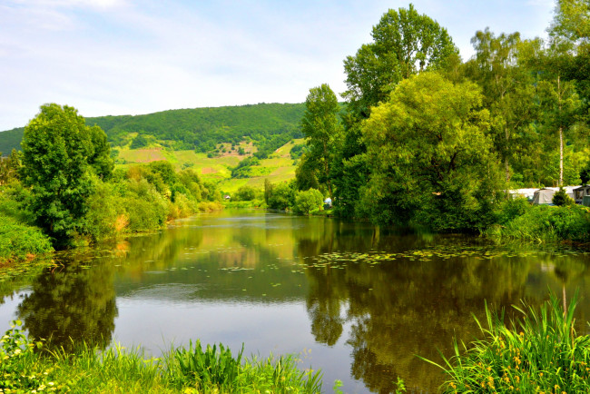 Обои картинки фото германия, мезених, moselle, природа, реки, озера, река
