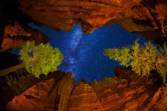 Картинка природа горы штат юта сша деревья скалы млечный путь звезды небо ночь национальный парк брайс-каньон