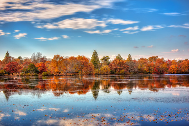 Обои картинки фото природа, реки, озера, город, сша, ноябрь, осень, озеро, отражения, belmont, lake, state, park, нью-йорк