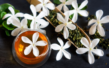 Картинка цветы жасмин пиала зеленый чай напиток