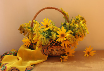 Картинка цветы букеты +композиции натюрморт золотарник корзина осень