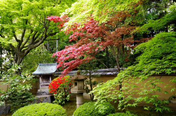 обоя природа, парк, японский, садик