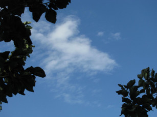 Картинка природа облака лето небо