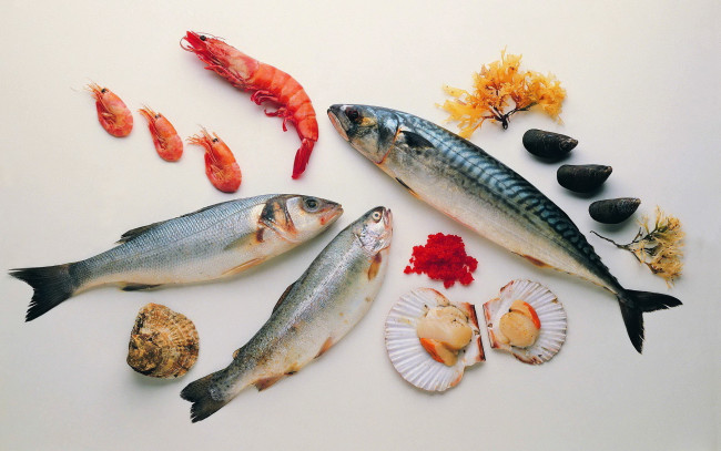 Обои картинки фото еда, рыба, морепродукты, суши, роллы, устрицы, креветки, скумбрия
