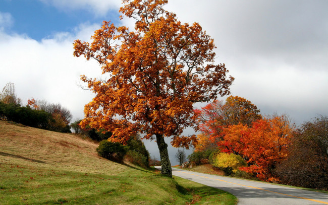 Обои картинки фото природа, дороги, осень, деревья