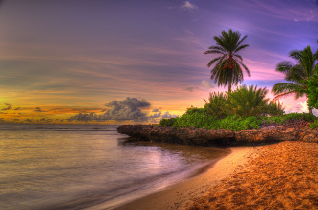 Обои картинки фото природа, тропики, берег, пальмы, море, закат, побережье, пляж, песок