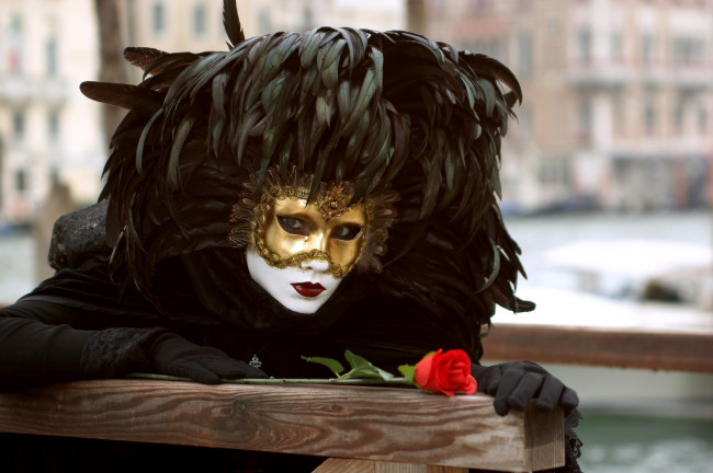 Обои картинки фото разное, маски, карнавальные, костюмы, венеция, черный, роза, перья