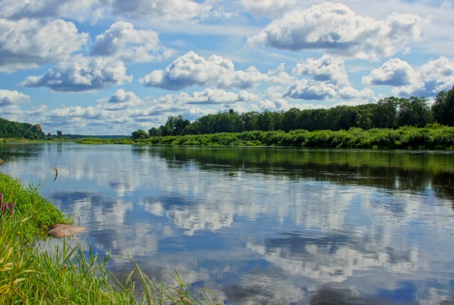 Обои картинки фото природа, реки, озера, лето, волга, отражение, облака, трава, берег, вода