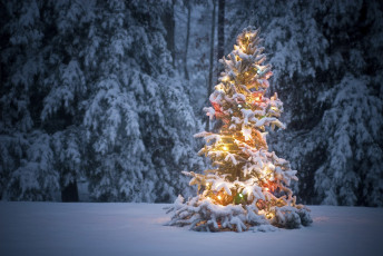 Картинка christmas праздничные Ёлки украшения елка рождество