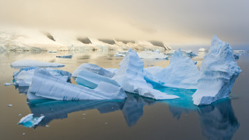 Картинка природа айсберги ледники арктика океан льды