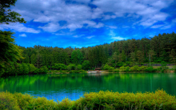 Картинка природа реки озера озеро лес трава облака