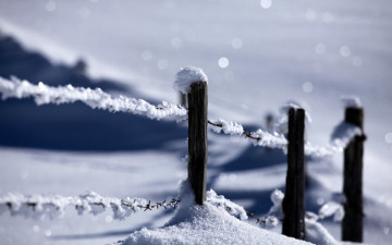 Картинка winter природа зима ледяные иглы проволока снег забор