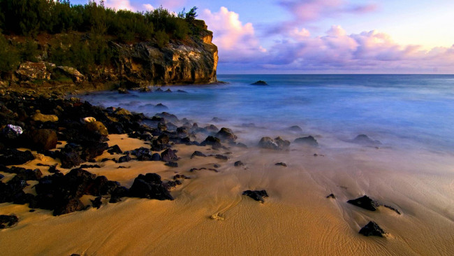 Обои картинки фото природа, побережье, скалы, деревья, камни, океан, берег, мыс, пляж