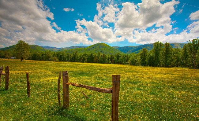 Обои картинки фото природа, поля, забор, трава, зелень, облака, холмы, столбы, цветы, желтые, лето