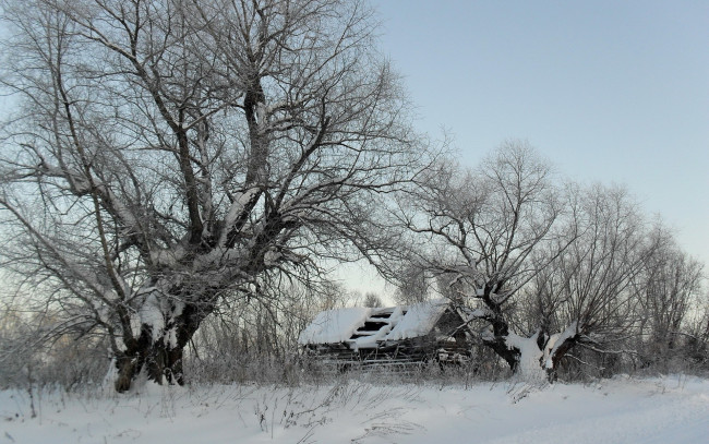 Обои картинки фото winter, природа, зима, деревья, сарай, голые, кроны, снег