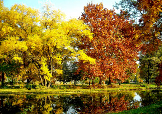 Картинка природа парк осень трава река краски кроны деревья
