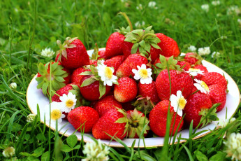 Картинка еда клубника земляника ягоды тарелка