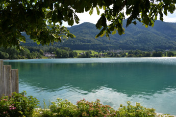 Картинка st gilgen austria природа реки озера австрия озеро горы дома лес побережье