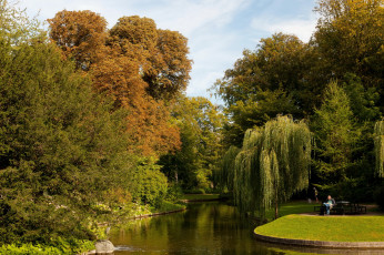 Картинка ботанический сад копенгаген дания природа парк скамейка пруд деревья