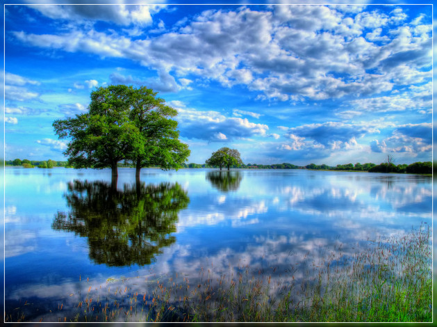 Обои картинки фото природа, реки, озера, облака, дерево, разлив, река