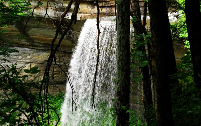 Обои картинки фото природа, водопады, деревья, вода