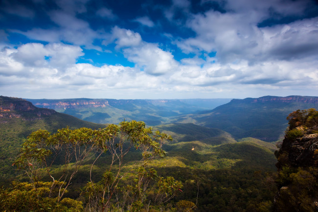 Обои картинки фото blue, mountain, national, park, австралия, природа, горы, парк, лес