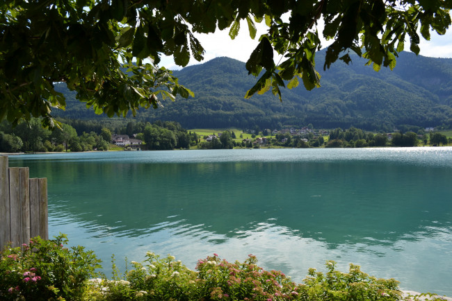 Обои картинки фото st, gilgen, austria, природа, реки, озера, австрия, озеро, горы, дома, лес, побережье