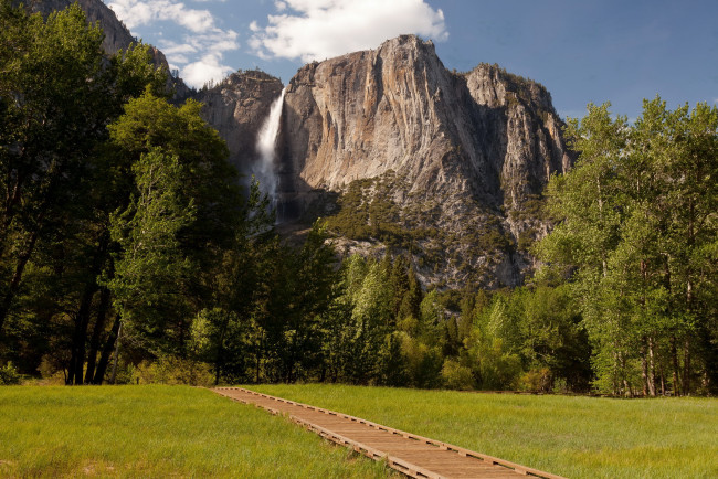 Обои картинки фото yosemite, national, park, природа, горы, деревья, тропа, лужайка