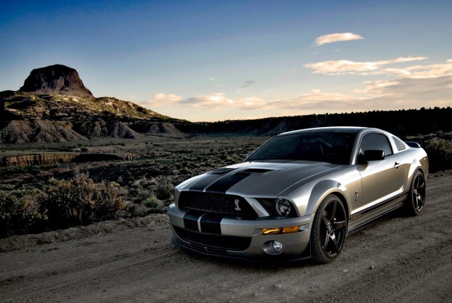 Обои картинки фото автомобили, mustang, cobra, shelby