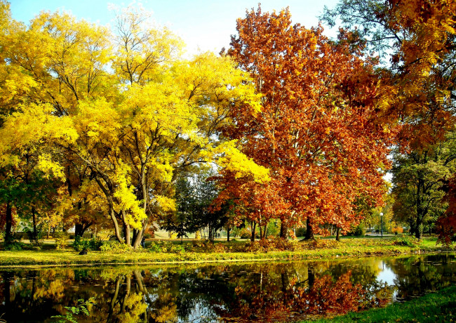 Обои картинки фото природа, парк, осень, трава, река, краски, кроны, деревья