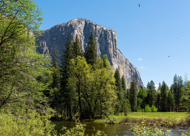 Обои картинки фото природа, горы, yosemite, national, park, река