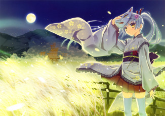 Картинка аниме unknown +другое горы поле роза лепестки цветок природа девушка nanao naru арт луна ночь маска