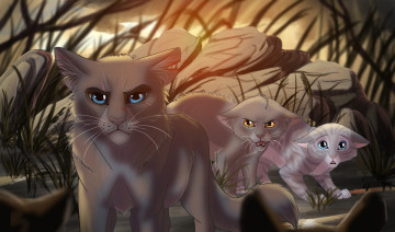 Картинка рисованное животные +коты фон взгляд кошки