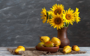 Картинка еда груши подсолнухи желтые фрукты мешковина натюрморт ваза