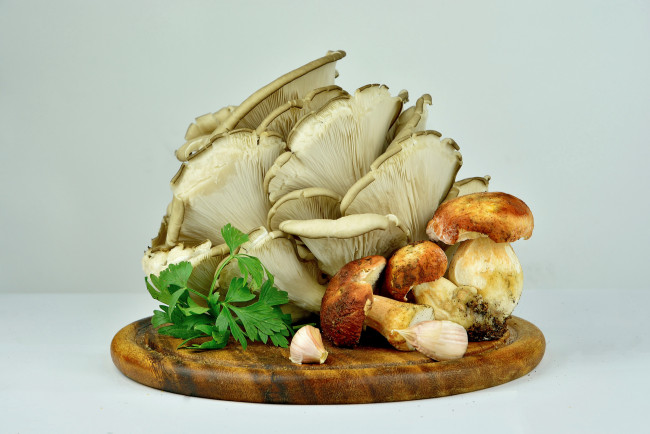 Обои картинки фото еда, грибы,  грибные блюда, грибочки