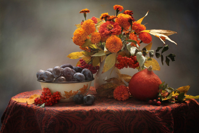 Обои картинки фото еда, натюрморт, сливы, рябина, осень, тыква, фрукты, бархатцы, цинния