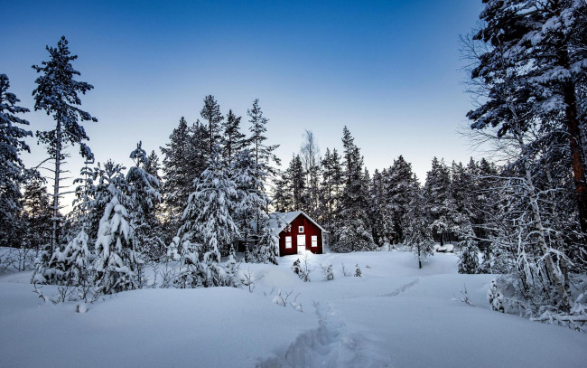 Обои картинки фото города, - здания,  дома, деревья, лес, сугробы, снег, зима