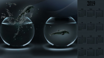 Картинка календари компьютерный+дизайн аквариум дельфин