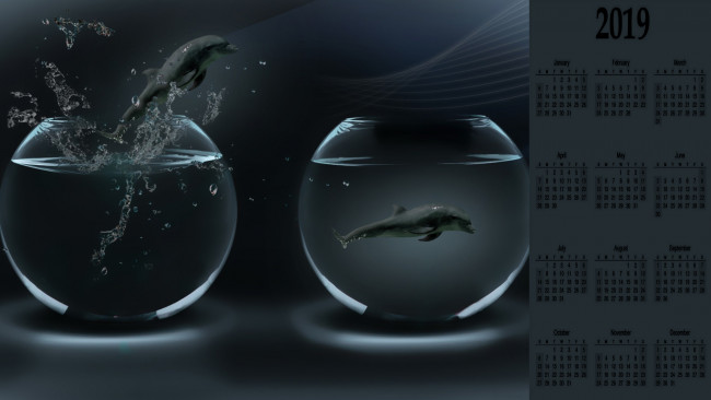 Обои картинки фото календари, компьютерный дизайн, аквариум, дельфин