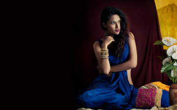Картинка девушки -+брюнетки +шатенки bollywood девушка брюнетка индианка синее сари поза актриса макияж красотка