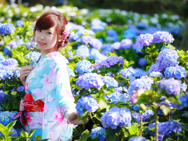 Обои картинки фото девушки, - азиатки, шатенка, кимоно, цветы, гортензии